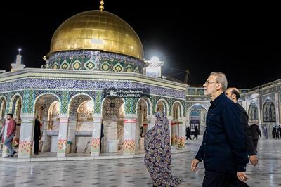  عکس/ لاریجانی به حرم مطهر امام رضا (ع) رفت