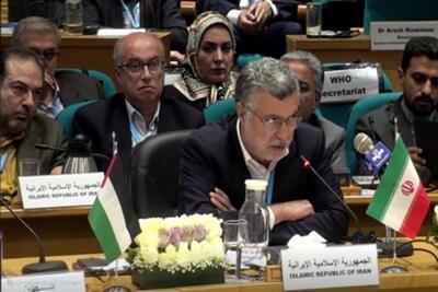  ظفرقندی: منابع ایران نزد سازمان جهانی بهداشت به‌سرعت تعیین‌تکلیف شود