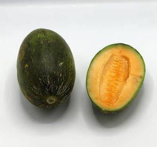  خواص عجیب خربزه مه ولاتی!