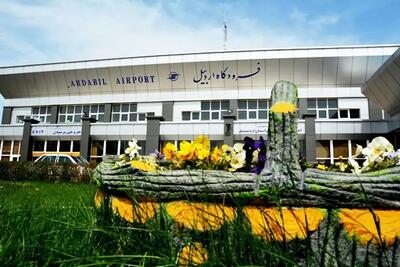 عزل مدیر فرودگاه به دلیل درخواست بازرسی کیف خانم وزیر