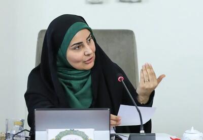  غرور کودکانه خانم وزیر وقتی قانون برای همه نیست/ خشم فرزانه صادق از بازرسی کیف و عزل مدیرکل فرودگاه اردبیل | اقتصاد24