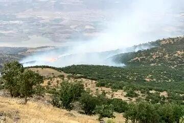  آتش‌سوزی جنگل‌ها و مراتع روستای مهرنجان ممسنی ادامه دارد