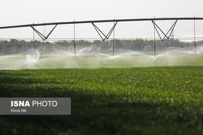  اجرای ۷۸۲ هکتار آبیاری نوین و ده‌ها طرح عمرانی در کشاورزی هرمزگان