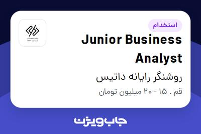  استخدام Junior Business Analyst در روشنگر رایانه داتیس