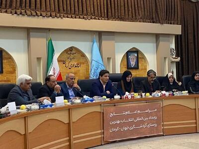  معاون وزیر میراث فرهنگی: دنیا در برابر زیبایی های کرمان تعظیم می کند