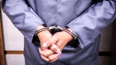 سرقت‌های عتیقه به پایان رسید / بدنام‌ترین دزدان تهران دستگیر شدند!