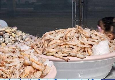  جشنواره میگو گامی برای ترویج فرهنگ بومی و معرفی ظرفیت‌های اقتصادی دریا - تسنیم