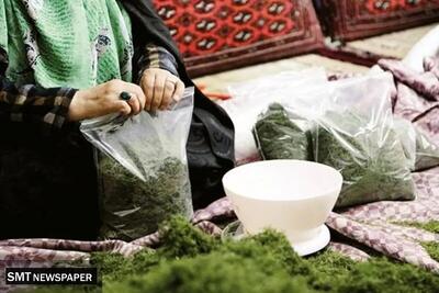  از آموزش تا اشتغال؛ مسیر تحول مشاغل خانگی در مناطق محروم