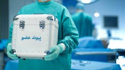  مرگ مغزی جوان ۲۳ ساله بجنوردی، طلوع دوباره زندگی برای ۶ بیمار