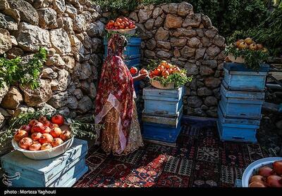  سومین جشنواره انار در شهرستان دزپارت