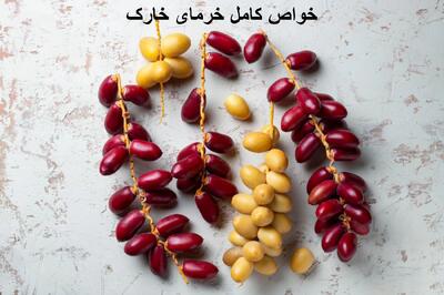  خرما خارک چیست ؟ + خواص کامل خرمای نارس (خارک) برای مردان و زنان