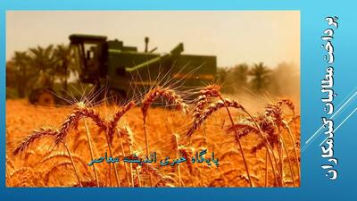  قیمت جدید گندم بر اساس رضایت کشاورزان نرخ گذاری شد + قیمت خرید تضمینی گندم