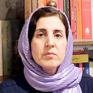 تباه سازی متقابل در جامعه مخاطره آمیز