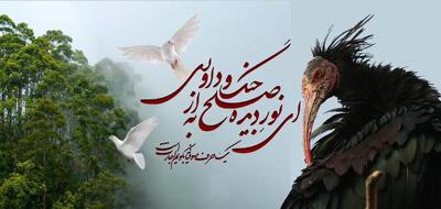 امروز با حافظ: یک حرف صوفیانه بگویم اجازَتَست؟  / ای نور دیده! صلح به از جنگ و داوری