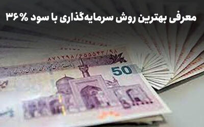 بهترین روش سرمایه‌گذاری با سود روزشمار و بازده ۳۶ درصد