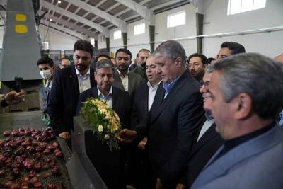  مرکز پرتودهی محصولات کشاورزی شمالغرب در اردبیل افتتاح شد