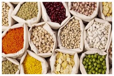  حبوبات با تعرفه صفر وارد می‌شود/ قیمت‌ها پایین می‌آید؟