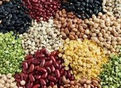  واردات حبوبات و گندم از اتحادیه اوراسیا با تعرفه صفر - اکونیوز