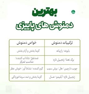  عکس/ بهترین دمنوش‌ها برای فصل پاییز | اقتصاد24