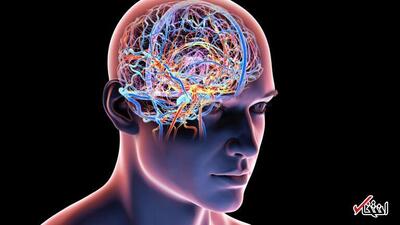  چگونه با افزایش سن، مغز خود را هوشیار و فعال نگه دارید؟
