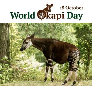  ۱۸ اکتبر روز جهانی گورزرافه است