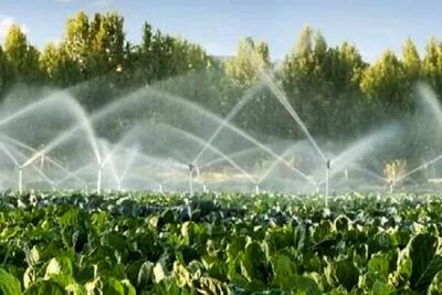  اختصاص 6000 میلیارد ریال اعتبار ملی به استان مرکزی برای بهره‌وری منابع آبی