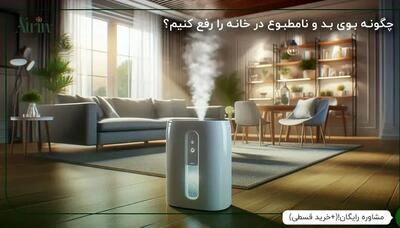  مقایسه استفاده از مواد طبیعی یا دستگاه های خوشبو کننده برای خوشبو کردن خانه