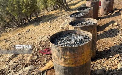  فاجعه خاموش جنگل‌های لرستان؛ زاگرس زیر تیغ سوداگران زغال