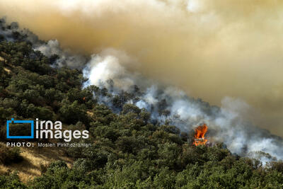  ۱۰۲ هکتار از عرصه‌های ملی مازندران طی یکسال گذشته خاکستر شد