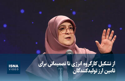  ویدیو/ از تشکیل کارگروه انرژی تا تصمیماتی برای تامین ارز تولیدکنندگان