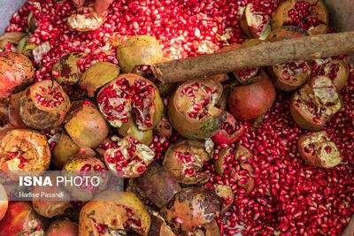  پیش بینی برداشت ۴۰۰۰ تنی انار در گیلان