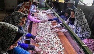  برگزاری روز جهانی زن روستایی در زاهدان