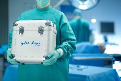  مرگ مغزی جوان ۲۳ ساله بجنوردی، طلوع دوباره زندگی برای ۶ بیمار