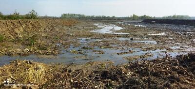  لایروبی آب بندان های ۶ روستای شهرستان صومعه سرا