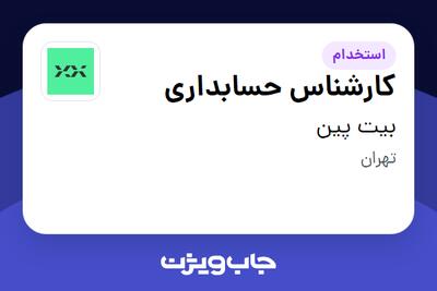  استخدام کارشناس حسابداری در بیت پین
