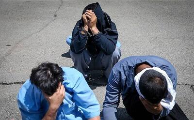 فیلم/ نحوه سرقت زورگیران و سارقان خشن شمالغرب تهران از منازل