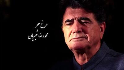  مرغ سحر، شورانگیزترین اجرای زنده استاد شجریان با تصنیف ملک‌الشعرا بهار / صدایی که انگار از بهشت اومده، مگه میشه این آواز رو شنید و از خود بیخود نشد +فیلم