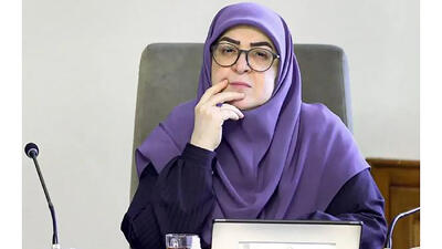 مهاجرانی: شفافیت، تعهد حاکمیت به مردم است؛ نه لطف، نه امتیاز