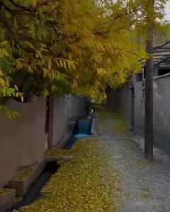  سفر پاییزی به باغ‌ شهر تفت یزد + فیلم