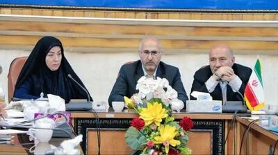  با پیگیریهای مدیرعامل سازمان، طرح جامع منطقه آزاد ماکو رسما ابلاغ شد