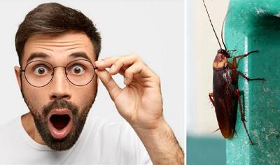 آگاه شو؛ تصورشم نمیتونی بکنی که اگه این موجود چندش نبود چی به سرمون میومد