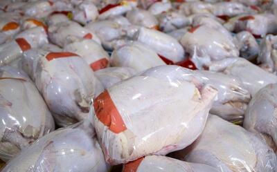 عرضه مرغ گرم در میادین تهران با قیمت کمتر از نرخ مصوب