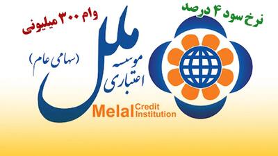 شرایط دریافت وام ۳۰۰ میلیونی موسسه ملل / بدون ضامن و با کارمزد ۴ درصد وام بگیرید