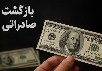 7 میلیارد دلار ارز با کارت اشخاص حقیقی برنگشت