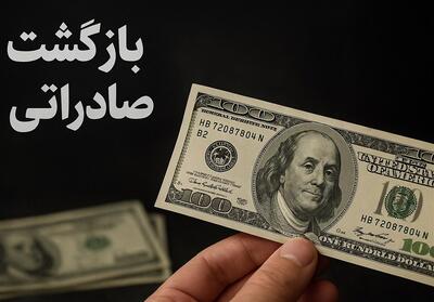 7میلیارد دلار ارز با کارت اشخاص حقیقی برنگشت/ پای 100 بدهکار ارزی در میان است - تسنیم