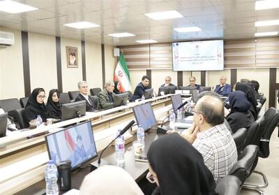 میرزایی: تحلیل مسائل جامعه نیازمند مدلهای میان رشته‌ای است - تسنیم