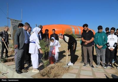  درختکاری در سنندج/ یک قهرمان یک نهال  تصویر - تسنیم