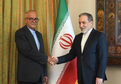  سرکنسول جدید ایران در ارزروم با عراقچی دیدار کرد