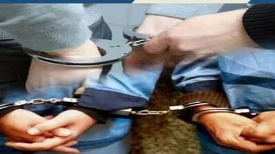  دستگیری و بازداشت موقت قاچاقچیان حرفه‌ای قطع درختان هیرکانی