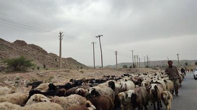  جاده کرج - چالوس امشب بسته می شود؛ تردد فقط دسترسی محلی